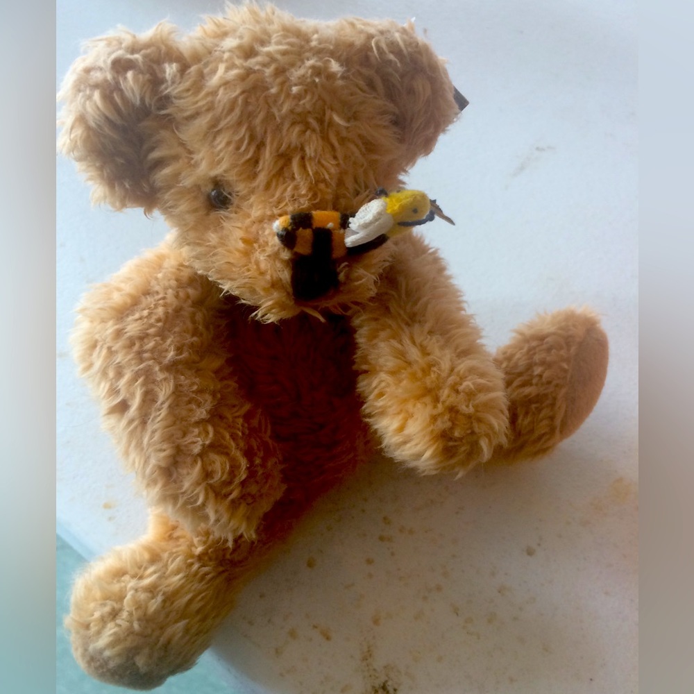 Bear stuffy “buzz”